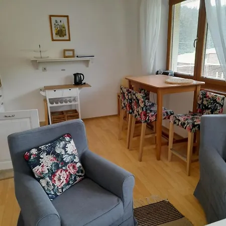 Apartman Severan Dva Balkony Garaz Apartmán Donovaly